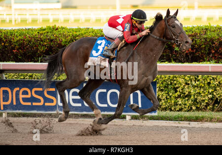 Hallandale Beach, Florida, USA. 8 Dez, 2018. Dezember 8, 2018: #3 Kukulkan (MEX) und Irad Ortiz, Jr. Gewinnen der Karibik Cup Classic Stakes (schwarz Art) während der Classic del Caribe bei Gulfstream Park am 8. Dezember 2018 in Hallandale Beach, FL. (Foto von Carson Dennis/Eclipse Sportswire/CSM) Credit: Csm/Alamy leben Nachrichten Stockfoto