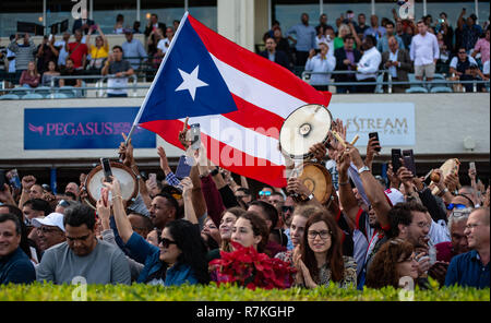 Hallandale Beach, Florida, USA. 8 Dez, 2018. Dezember 8, 2018: #2 Mishegas und Irad Ortiz, Jr., an Bord für Puerto Rico, gewinnen die International Cup Einsätze (schwarz Art) während der Classic del Caribe bei Gulfstream Park am 8. Dezember 2018 in Hallandale Beach, FL. (Foto von Carson Dennis/Eclipse Sportswire/CSM) Credit: Csm/Alamy leben Nachrichten Stockfoto