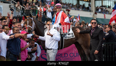 Hallandale Beach, Florida, USA. 8 Dez, 2018. Dezember 8, 2018: #2 Mishegas und Irad Ortiz, Jr., an Bord für Puerto Rico, gewinnen die International Cup Einsätze (schwarz Art) während der Classic del Caribe bei Gulfstream Park am 8. Dezember 2018 in Hallandale Beach, FL. (Foto von Carson Dennis/Eclipse Sportswire/CSM) Credit: Csm/Alamy leben Nachrichten Stockfoto