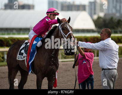 Dezember 8, 2018 - Hallandale Beach, Florida, USA - Dezember 8, 2018: #2 Mishegas und Irad Ortiz, Jr., an Bord für Puerto Rico, gewinnen die International Cup Einsätze (schwarz Art) während der Classic del Caribe bei Gulfstream Park am 8. Dezember 2018 in Hallandale Beach, FL. (Foto von Carson Dennis/Eclipse Sportswire/CSM) Stockfoto