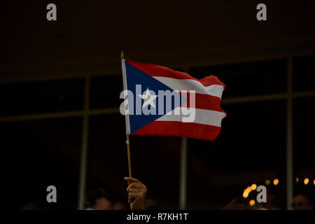 Dezember 8, 2018 - Hallandale Beach, Florida, USA - Dezember 8, 2018: #2 Mishegas und Irad Ortiz, Jr., an Bord für Puerto Rico, gewinnen die International Cup Einsätze (schwarz Art) während der Classic del Caribe bei Gulfstream Park am 8. Dezember 2018 in Hallandale Beach, FL. (Foto von Damon Belastung/Eclipse Sportswire/CSM) Stockfoto