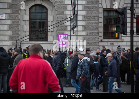 London, Großbritannien. 9. Dez 2018. Tommy Robinson und Gerard Batten die Brexit Betreyal in London, England zu protestieren am 9. Dezember 2018 Credit: George Cracknell Wright/Alamy leben Nachrichten Stockfoto