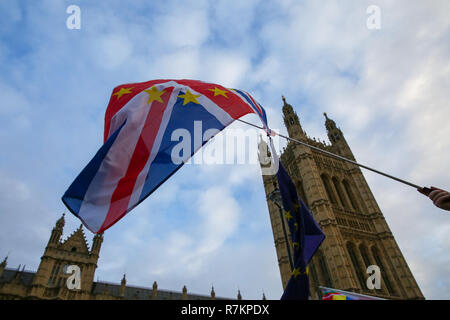 Westminster, London, Großbritannien, 10. Dez 2018 - Anti-Brexit und Pro-Brexit Demonstranten protestieren Neben außerhalb der Häuser des Parlaments. MPs wird auf der britische Premierminister Theresa's EU Widerrufsrecht deal am Dienstag, den 11. Dezember 2018 Stimmen. Credit: Dinendra Haria/Alamy leben Nachrichten Stockfoto