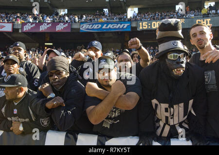 Oakland, Kalifornien, USA. 11 Nov, 2007. Schwarzes Loch Mitglieder die Zeichen trägt QB am Sonntag, 11. November 2007, bei Oakland-Alameda County Coliseum in Oakland, Kalifornien. Die Bären besiegt die Räuber 17-6. Credit: Al Golub/ZUMA Draht/Alamy leben Nachrichten Stockfoto