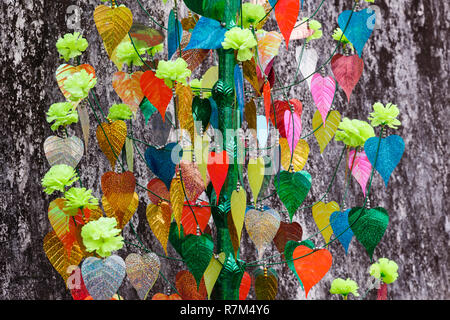 Bunte Blätter der Bodhi Baum auf eine graue Wand Hintergrund Stockfoto