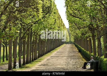 Frankreich, Oise, Compiegne, der Burg, dem ehemaligen königlichen und kaiserlichen Residenz, Flur auf der Seite der Gärten Stockfoto