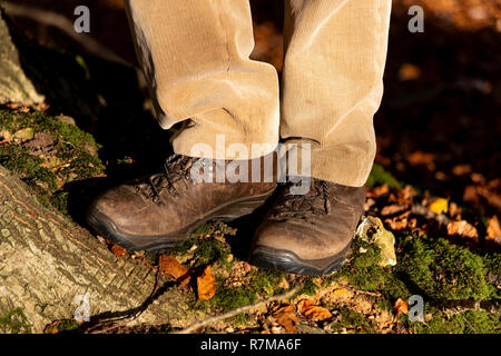 Walker tragen Wanderschuhe auf Moos bedeckt Bank im Wald im Herbst, Checkendon, Oxfordshire, England, Großbritannien Stockfoto