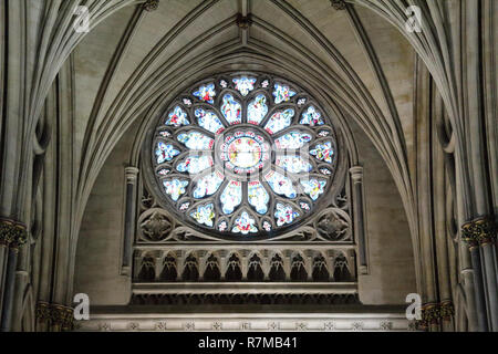 Die wichtigsten Rosette unter dem spitzbogen Vault mit farbigen Flecken Gläser und Dekorationen in der Gotischen Kathedrale von Bristol, Vereinigtes Königreich Stockfoto