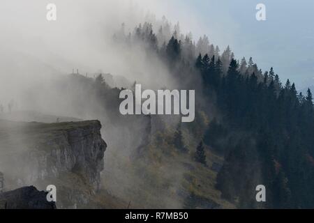 Schweiz, Jura, Kanton Neuenburg, massiv Chasseral, Massif du Jura, Nebel über den Kamm und die Tanne Wald Stockfoto