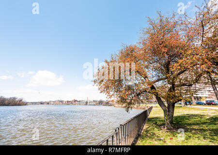 Washington DC, USA Georgetown und Foggy Bottom riverside View mit Orange Tree bei Tag am Flussufer mit Gebäuden im Frühjahr, Potomac River Water Stockfoto