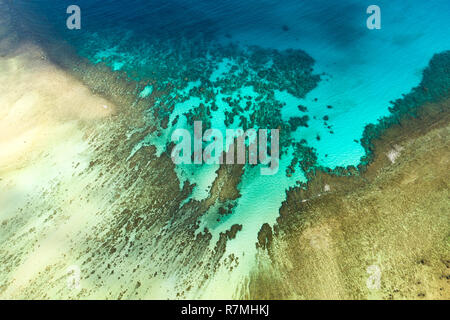 Antenne drone Ansicht von Türkis Küstengewässer und Coral Reef in El Nido Archipel. El Nido, Palawan, Philippinen. Stockfoto