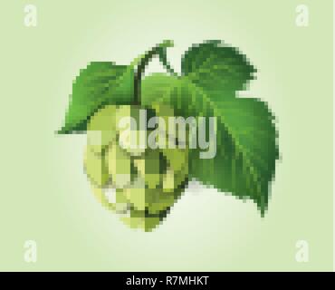 Vektor realistische Bier grün Hopfenzapfen, Blätter mit Stammzellen. Isolierte Abbildung auf einem farbigen Hintergrund. Beliebte Alkohol trinken, Brauerei industrie floral Symbol Stock Vektor