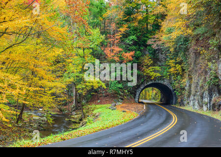 Ein Weg zu einem Smoky Mountain Tunnel geschwungene mit bunten Herbst Laub. Stockfoto