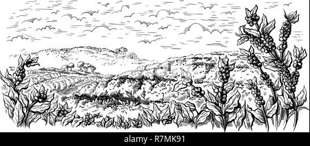 Coffee Plantation Landschaft in grafischen Stil von Hand gezeichnet Vector Illustration. Stock Vektor