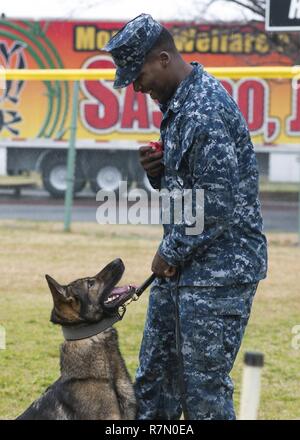 SASEBO, Japan (20. März 2017) Master-at-Arms 2. Klasse Justin Schilde arbeitet mit seinem Hund, Bronson, während eines K-9 Training Symposium onboard Commander US-Flotte Aktivitäten Sasebo Nimitz Park März 20, 2017. Das Symposium fand statt Training Techniken und Ideen zwischen japanischen Maritimen Selbstschutz Sasebo Bereich Guard Gruppe, KFBS, und Japan Kennel Club zu handeln. Stockfoto