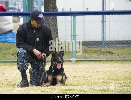 SASEBO, Japan (20. März 2017) Master-at-Arms 1. Klasse Melvin Golmond mit seinem Hund während eines K-9 Training Symposium onboard Commander US-Flotte Aktivitäten Sasebo Nimitz Park März 20, 2017 sitzt. Das Symposium fand statt Training Techniken und Ideen zwischen japanischen Maritimen Selbstschutz Sasebo Bereich Guard Gruppe, KFBS, und Japan Kennel Club zu handeln. Stockfoto