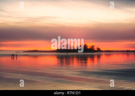 Tofino, Britisch-Kolumbien, Kanada Stockfoto