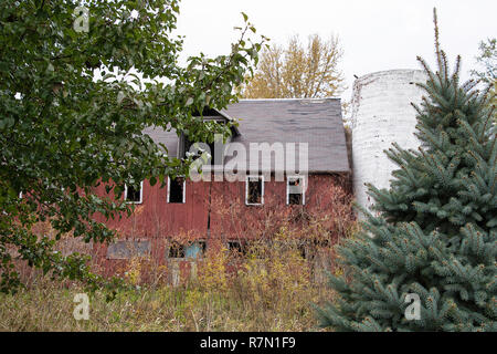 Verwitterte rot Holz- Scheune mit weißem Silo im Herbst Unkräuter Stockfoto
