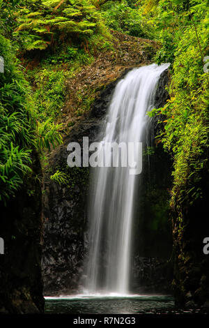 Wainibau-Wasserfall am Ende der Lavena Coastal Walk auf Taveuni Island, Fidschi. Taveuni ist die drittgrößte Insel in Fidschi. Stockfoto