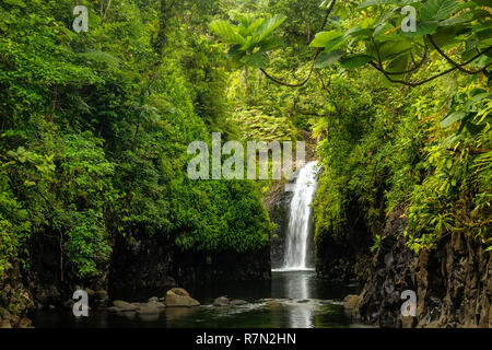 Wainibau-Wasserfall am Ende der Lavena Coastal Walk auf Taveuni Island, Fidschi. Taveuni ist die drittgrößte Insel in Fidschi. Stockfoto