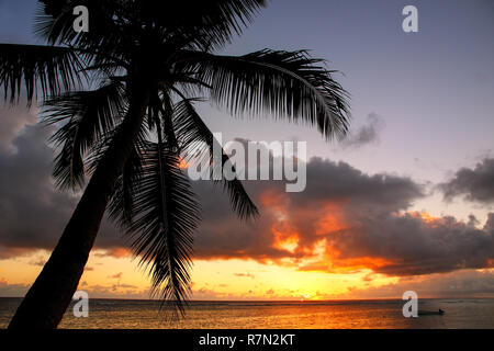 Bunte Sonnenaufgang am Strand in Lavena Dorf auf Taveuni Island, Fidschi. Taveuni ist die drittgrößte Insel in Fidschi. Stockfoto