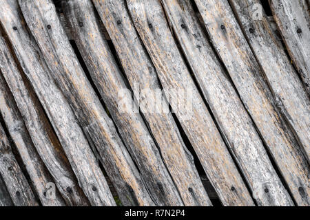 Eine verwitterte alte hölzerne Wand rostige Nägel mit Köpfen. Grau Holzbohlen Textur Hintergrund. Stockfoto