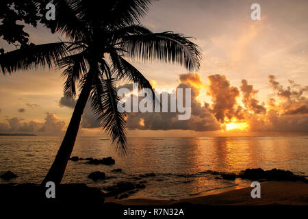 Bunte Sonnenaufgang am Strand in Lavena Dorf auf Taveuni Island, Fidschi. Taveuni ist die drittgrößte Insel in Fidschi. Stockfoto