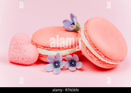 Zwei lebende Korallen macarons mit kleinen blauen Blüten und Herzförmigen Zucker Stockfoto