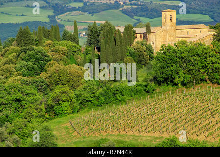 Ausblick auf die Landschaft und einem Bauernhaus in der Nähe von Montalcino, Val d'Orcia, Toskana, Italien. Montalcino ist berühmt für seinen Brunello di Montalcino Wein. Stockfoto