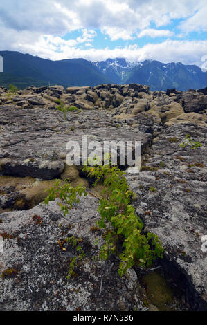 Rock Risse in Nisga'a Memorial Lava Bed, British Columbia, Kanada Stockfoto