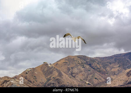 Vögel fliegen über zerklüftete Berge und bewölkter Himmel Stockfoto