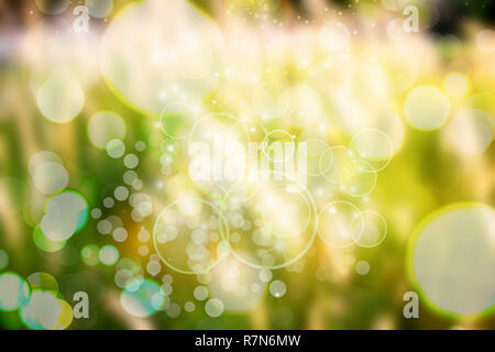 Abstrakte Natur Hintergrund, Bild der grüne Garten Hintergrund verschwommen, De konzentrierte sich der natürlichen grünen Blatt verschwommenen Hintergrund. Bokeh Effektbeleuchtung. Stockfoto