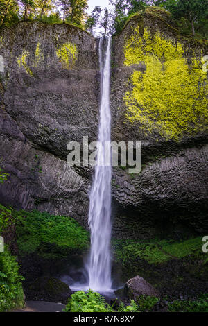 Latourell Falls, Wasserfall entlang des Columbia River Gorge, historischen US Route 30, Oregon, USA. Stockfoto