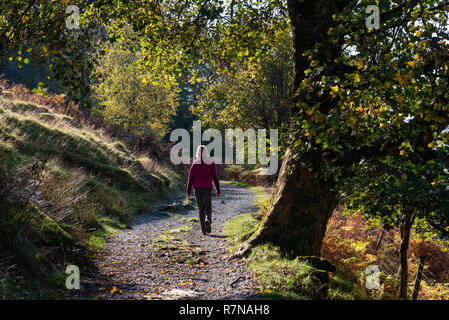 Wandern in der Nähe von Hodge in Cumbria Stockfoto