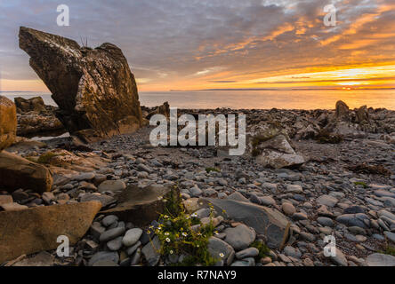 Ansicht des Luce Bay in Richtung der Mull of Galloway von der Machars Küste, Dumfries und Galloway, Schottland. Stockfoto