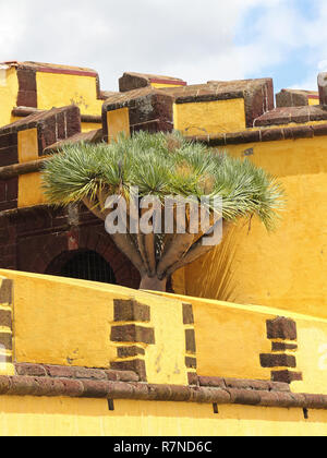 Die Fortaleza de São Tiago in Funchal. Stockfoto