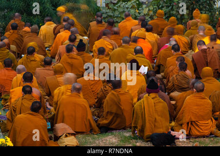 Beten tibetische Mönche in orangefarbenen Gewändern am Mahabodhi Tempel, Bodh Gaya sitzen. Ein Mönch hält einen hellen weißen offenen Buch in der Hand. Stockfoto