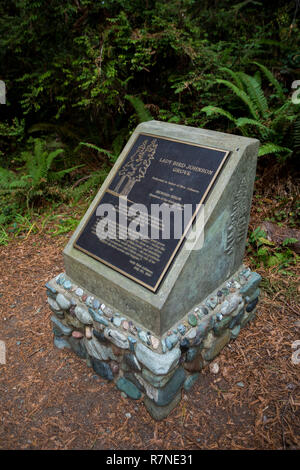 California Redwoods National Park, CA - November 20, 2018: Geschichte des Bereichs auf ein Zeichen auf dem Weg zu Lady Bird Johnson Grove Trail in gedruckter Stockfoto