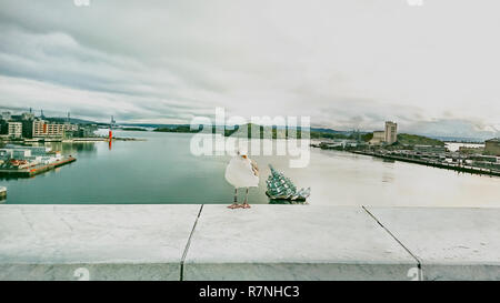 Blick auf Oslo und die Ostsee von der Aussichtsplattform des Opernhauses, Norwegen. Stockfoto