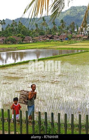 Indonesien, Java, Borobudur, Mann mit seinem Sohn das Tragen einer Taube Käfig in der Mitte der Felder von Reis Stockfoto