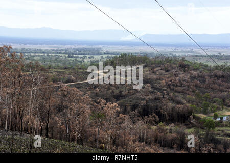 CENTRAL QUEENSLAND NACH DEN BRÄNDEN Stockfoto