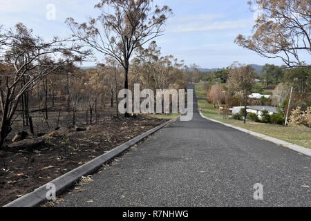 CENTRAL QUEENSLAND NACH DEN BRÄNDEN Stockfoto