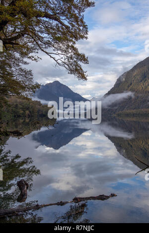 Lake Gunn mit erstaunlichen Reflexionen im Fjordland, Neuseeland Stockfoto