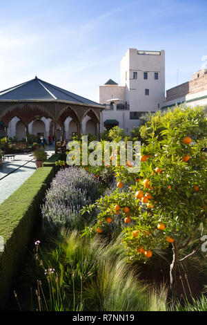 Der geheime Garten Marrakesch, aka Le Jardin Secret, Garten Museum, Marrakesch Medina, Marrakesch, Marokko Nordafrika Stockfoto