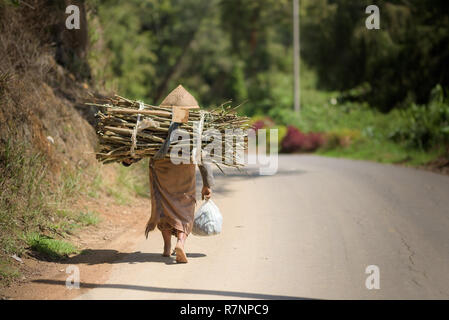 Eine berufstätige Frau in der traditionellen javanischen Kleidung wird von hinten entlang eine Dorfstraße, Brennholz, die ihr wieder gesehen. Stockfoto