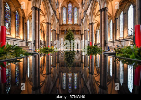 Kirchliche der Kathedrale von Salisbury joiner, Richard Pike schmückt die 34 ft Fichte Weihnachtsbaum, an der Longleat Immobilien gefällt, da die endgültige Garnituren, einschließlich 1000 LED-Leuchten, Glas Kugeln und Eis Tröpfchen, die auf dem Baum, der vor dem Westen Fenster steht platziert sind. Stockfoto