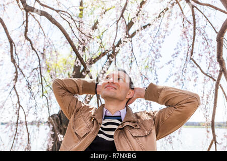 Ein Mann von Cherry Blossom sakura Ast lächelnd im Frühjahr, die niedrigen Winkel mit den Händen hinter dem Kopf glücklich, Niederlassungen Stockfoto