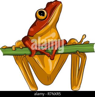 Vektor Bild eines frog design auf weißem Hintergrund, Stock Vektor