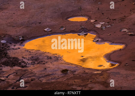 Temporäre Pfütze, die durch die jüngsten Unwetter geschaffen, McLoyd Canyon unter Mond Haus Ruine auf Cedar Mesa, einst Teil der Bären Ohren National Monument, Utah Stockfoto