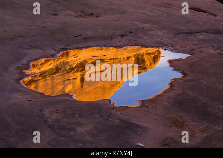 Temporäre Pfütze, die durch die jüngsten Unwetter geschaffen, McLoyd Canyon unter Mond Haus Ruine auf Cedar Mesa, einst Teil der Bären Ohren National Monument, Utah Stockfoto